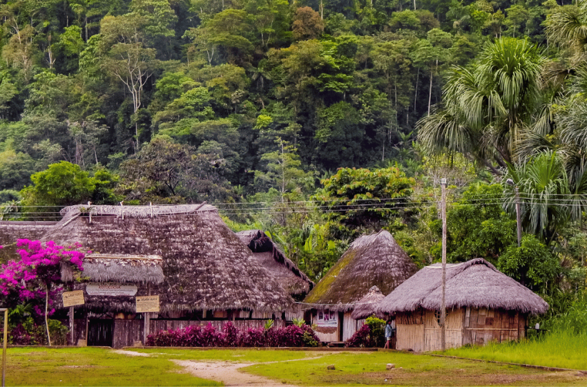  Saiba como profissionais de saúde atuam na Terra Indígena Yanomami