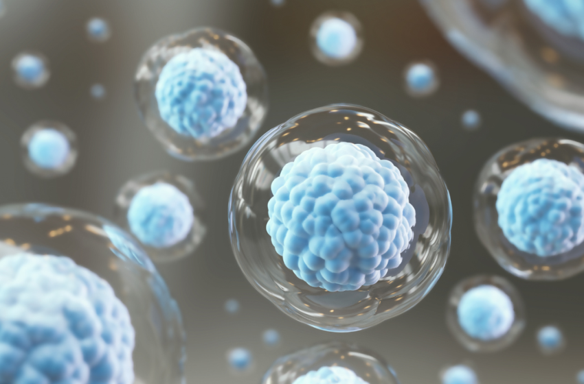 Marcelo Madureira Montroni esclarece dúvidas sobre Medicina regenerativa e terapias celulares 