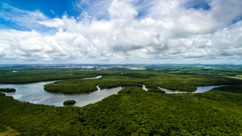  Startup Day em Boa Vista discute desenvolvimento e tecnologia na Amazônia