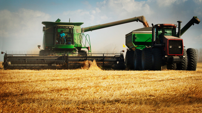  Oportunidades em crescimento: os destinos ideais para investir no agronegócio