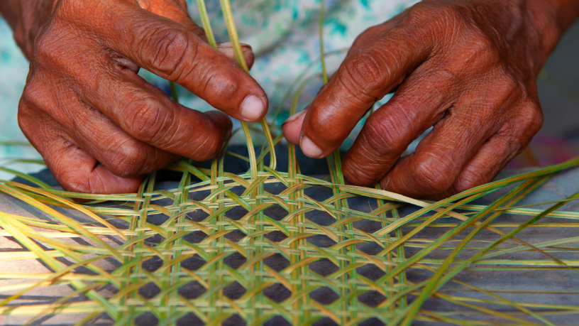  Mobilização em Boa Vista: Artesanato e Remédios Tradicionais Indígenas em Destaque