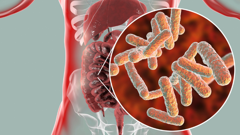 Descubra com Gustavo Luíz Guilherme Pinto por que o microbioma intestinal é essencial para manter o corpo em equilíbrio.