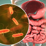 Gustavo Luíz Guilherme Pinto explica como o microbioma intestinal impacta diretamente a saúde e o bem-estar.