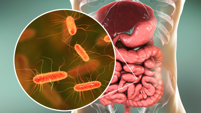 Gustavo Luíz Guilherme Pinto explica como o microbioma intestinal impacta diretamente a saúde e o bem-estar.