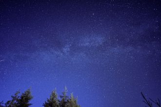 Estrela cadente riscando um céu estrelado acima da silhueta de uma floresta.